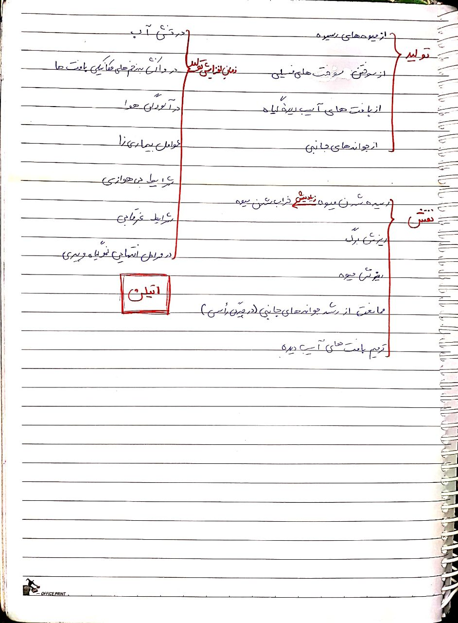 1a438827-4d92-4722-9f66-5cd193e6f556-image.png