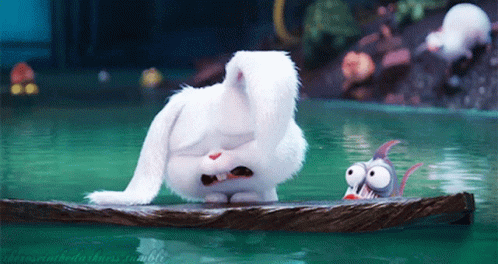 740f44659e7c86599a4b7aae937c75c9.gif
