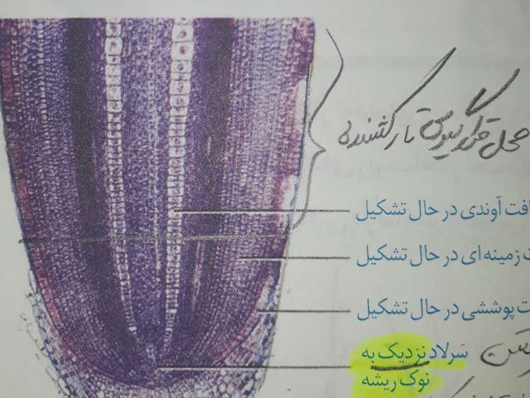 ۲۰۲۰۰۸۲۷_۲۳۳۲۰۷.jpg