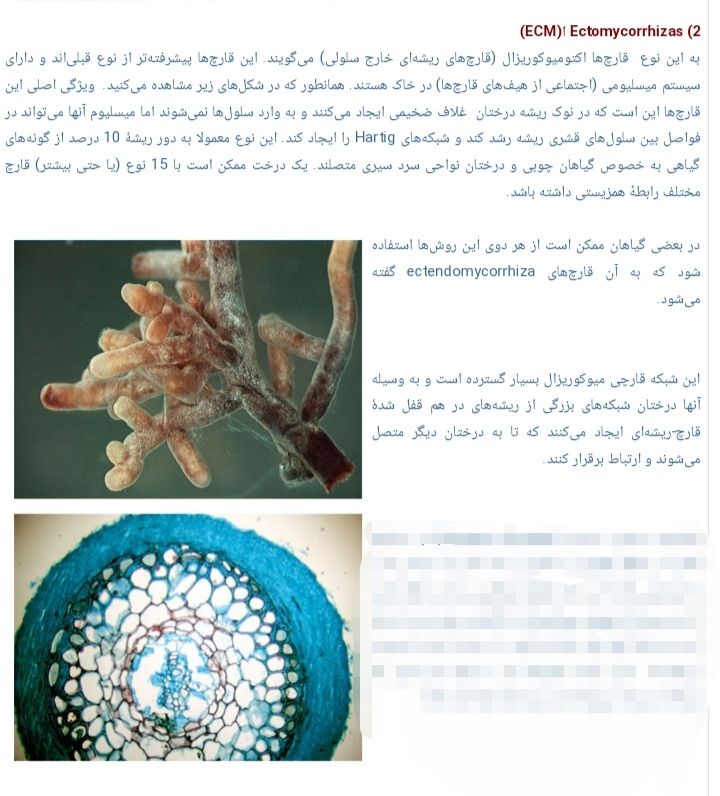 Screenshot_۲۰۲۰۰۸۲۹_۱۰۴۳۴۵.jpg