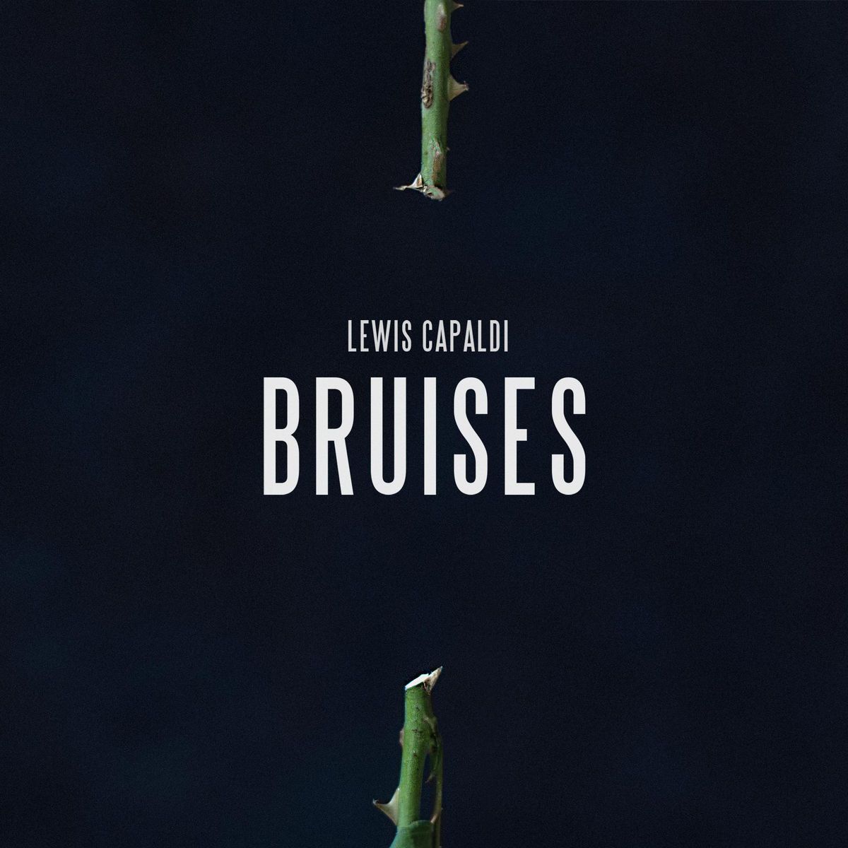 lewis_capaldi-bruises_s.jpg