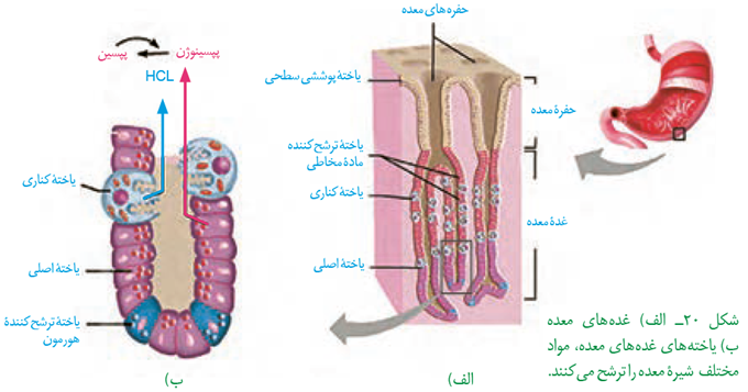 aaa2d9e5-4ef7-4575-99f4-71bd041c7057-image.png
