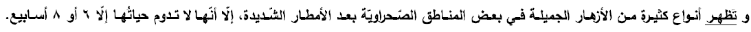 c3ba5939-11ec-4a4e-a2c5-a5eced80d26d-image.png