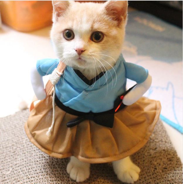 cat-skirt-suit-1.jpg
