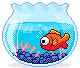 1582788971824-wassertier39.gif