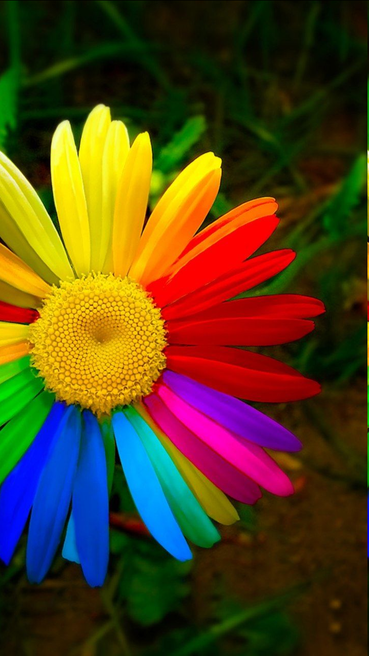 f40f746f-34e4-4b4b-8543-4efdc99fb42c-image.png