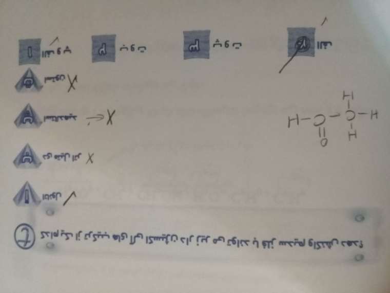 1603392876742-1562566993.jpg