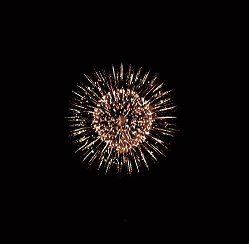 chrysanthemum-firework-effect.gif
