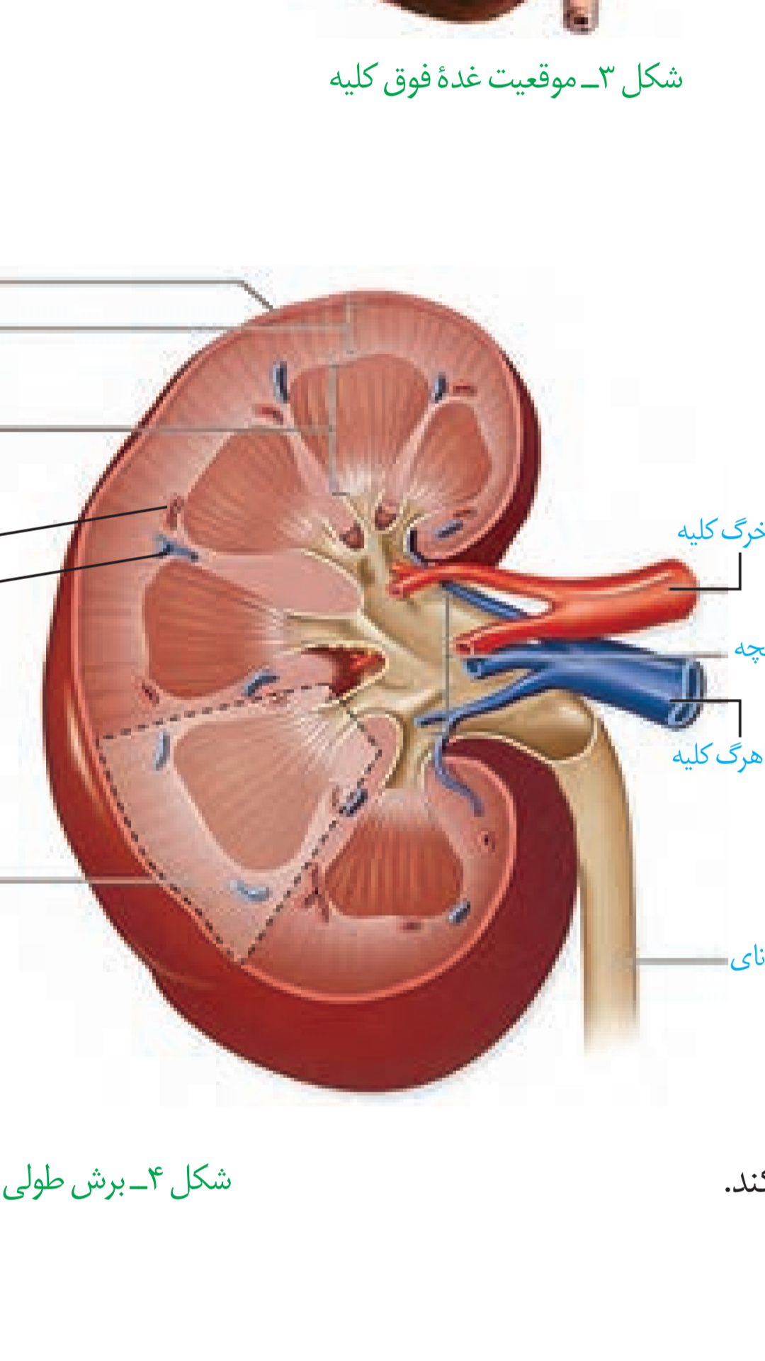 Topic thumbnail image