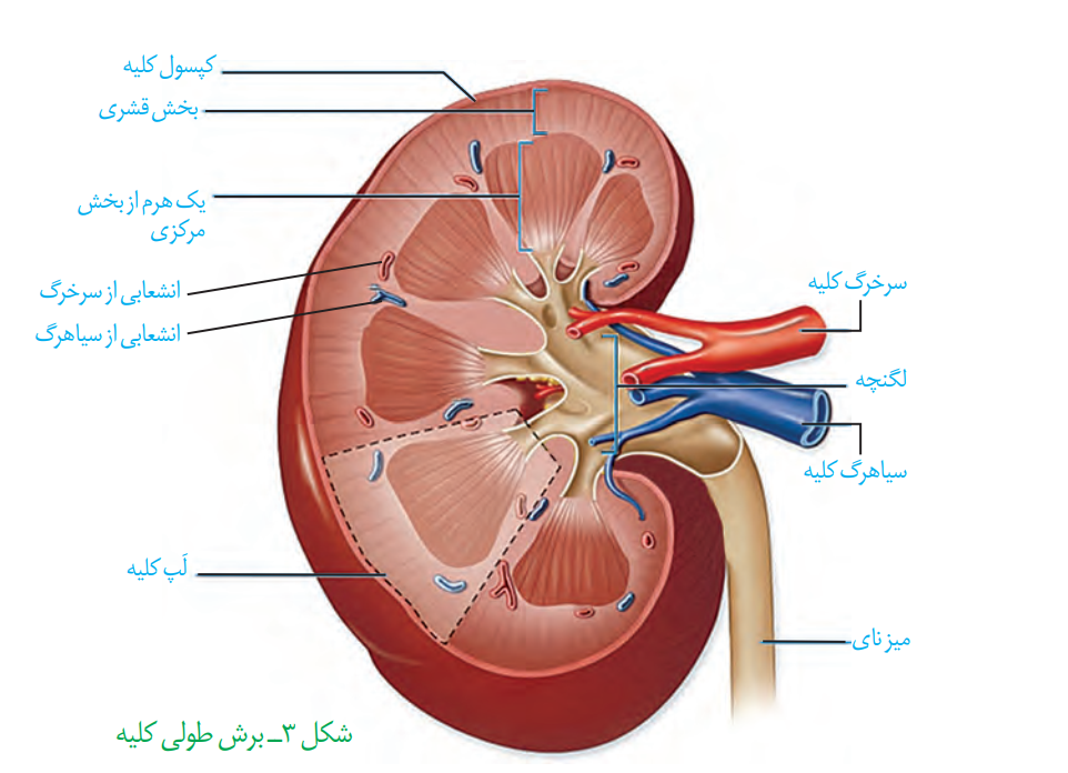 Topic thumbnail image