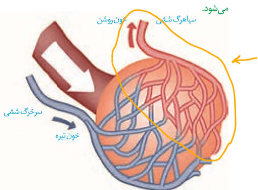 72e56f64-dcc0-46e1-bc4e-d2bad970ea3e-image.png