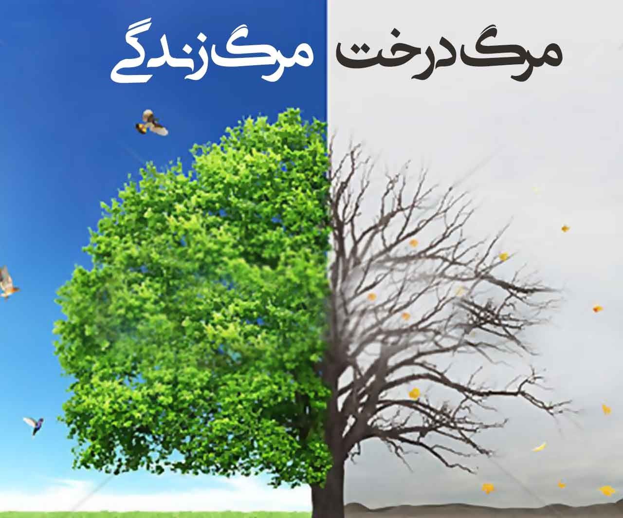 مرگ-درخت-مرگ-زندگی.jpg