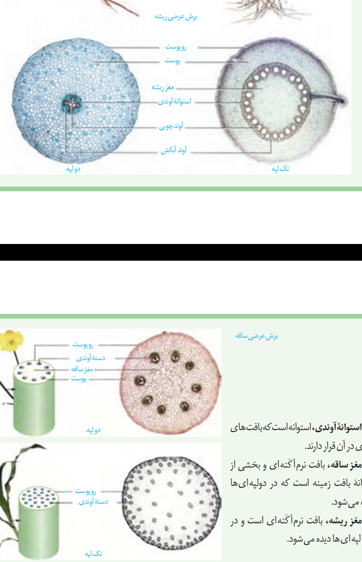Screenshot_۲۰۲۰۱۲۰۵-۱۲۱۳۳۲~2.png