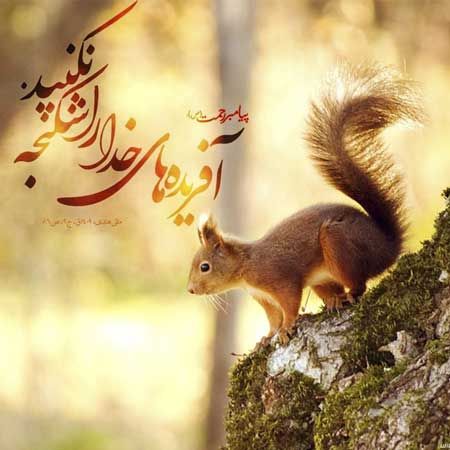 عکس-نوشته-حیوانات-پروفایل-36.jpg