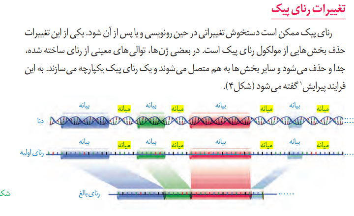 Screenshot_۲۰۲۱۰۱۰۸-۰۱۲۰۰۲~2.png