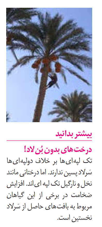 Screenshot_۲۰۲۱۰۱۲۳-۱۰۳۸۳۵~2.png