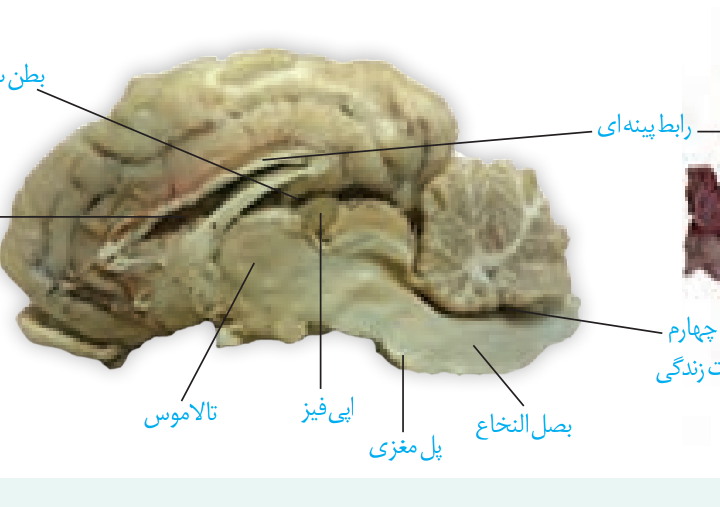 Screenshot_۲۰۲۱۰۱۳۱-۲۱۵۱۰۹~2.png