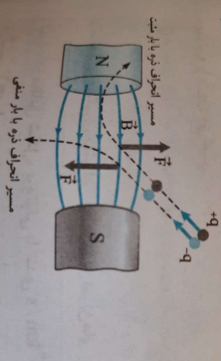 20210215_140804.jpg