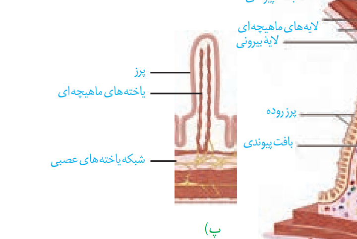 Screenshot_۲۰۲۱۰۲۱۵-۲۲۱۹۴۰~2.png