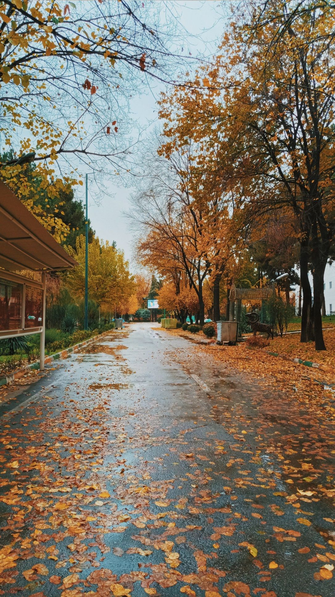 Tehran-University-university-of-tehran-TUMS-UT-Tehran-university-of-medical-sciences-علوم-پزشکی-دانشگاه-علوم-پزشکی-تهران-پزشکی-تهران-3.jpg-3.jpg
