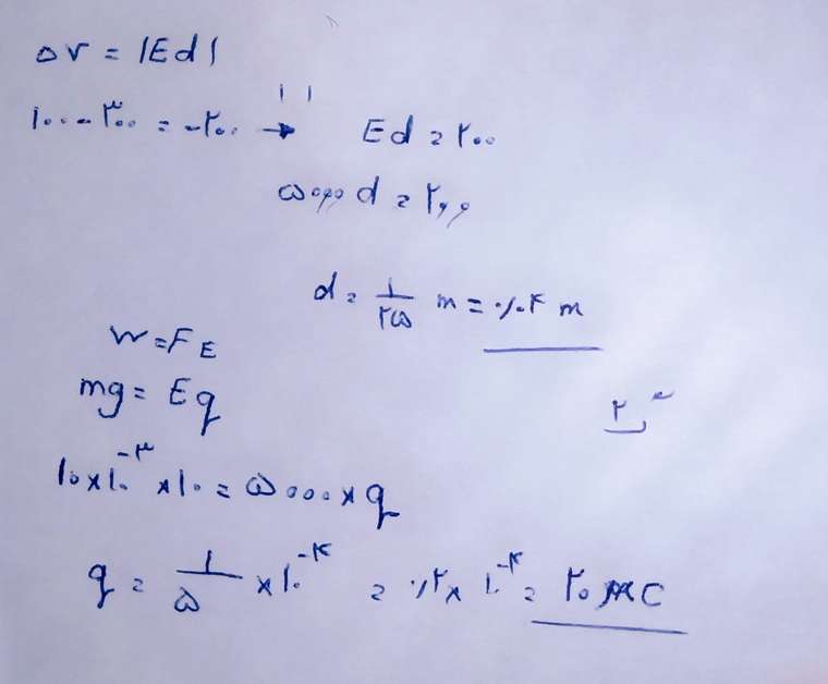 IMG_۲۰۲۱۰۲۲۰_۰۸۲۲۱۱~2.jpg