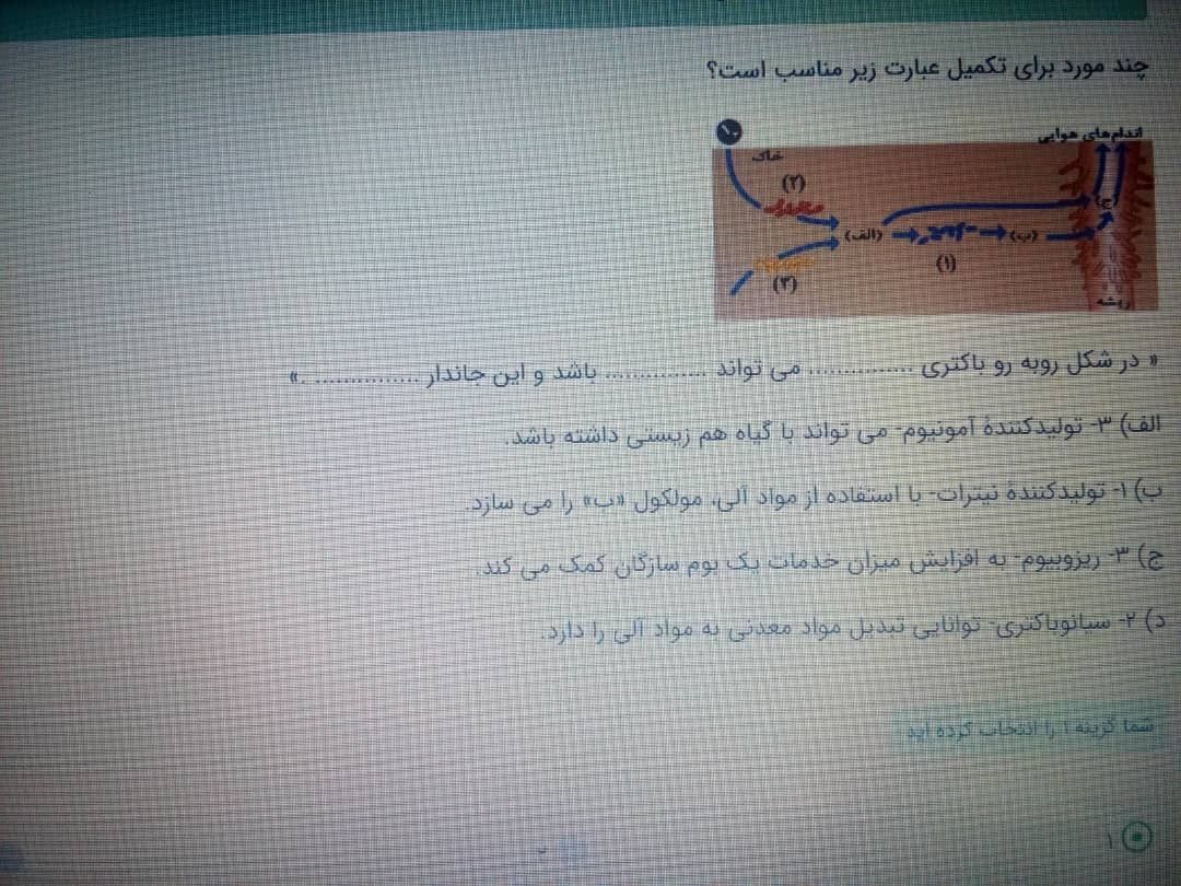 ز.jpeg