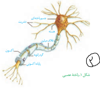 چاپ 2.PNG