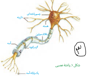 چاپ3.PNG