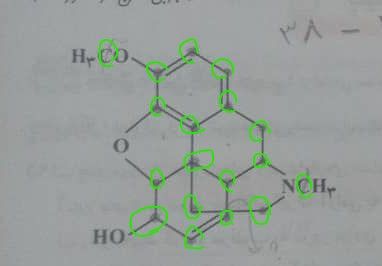 1615060203399-ع.jpeg