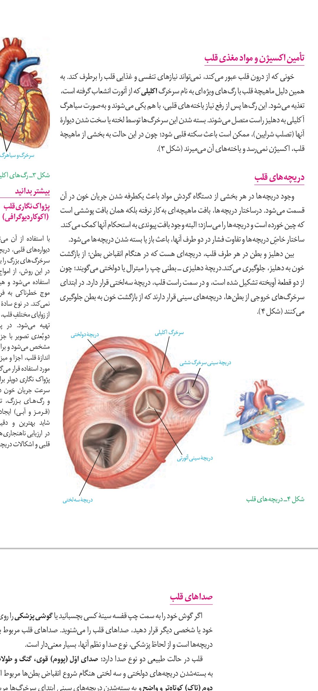 Screenshot_20210401_222320_com.adobe.reader.jpg
