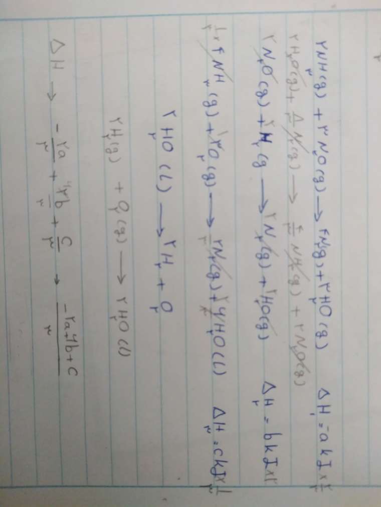 JPEG_۲۰۲۱۰۴۱۳_۰۹۳۸۵۱_2720427962275232005.jpg