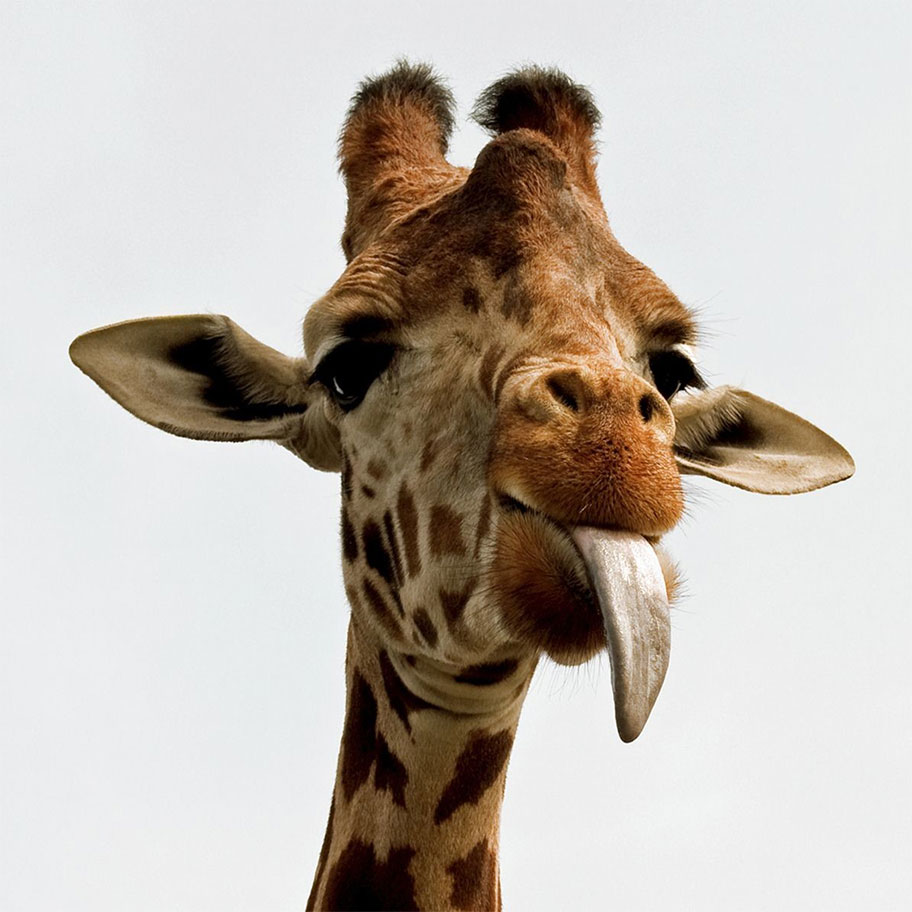68d9f6b8-6b2c-42a7-b528-3696e46a8614-image.png