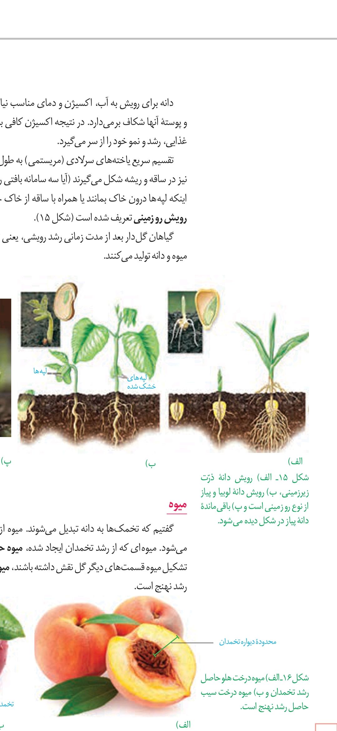Screenshot_20210424_085809_com.adobe.reader.jpg