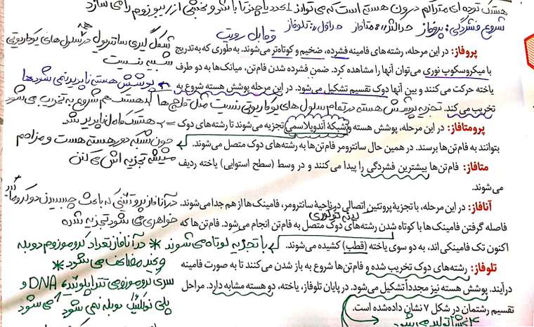 CamScanner 04-24-2021 21.59_1.jpg