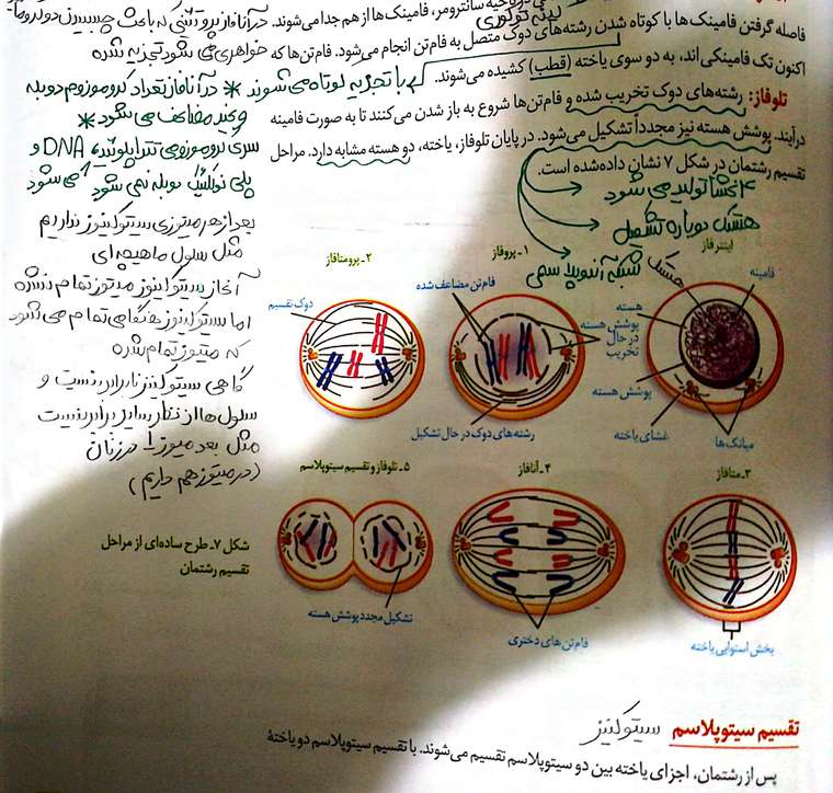 CamScanner 04-24-2021 21.59_2.jpg