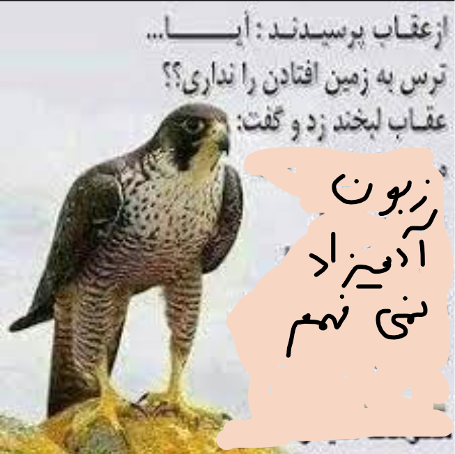 f3cb9410-caa4-4e15-837a-a1c92b2579f9-image.png