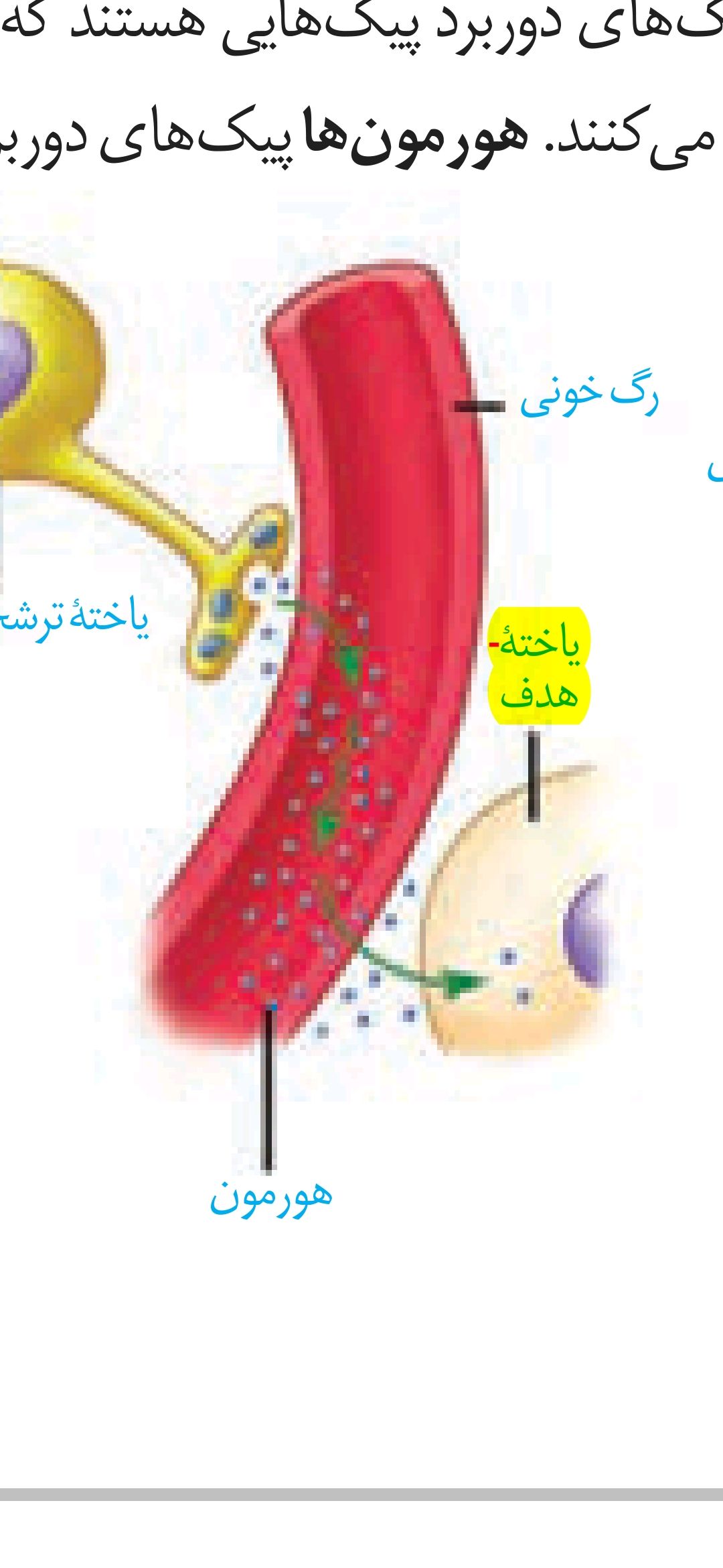 Screenshot_20210430_010728_com.adobe.reader.jpg