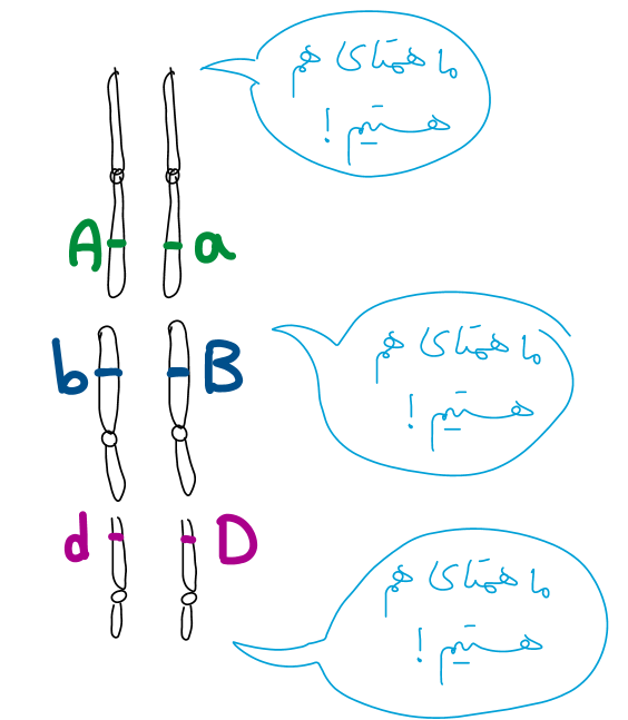 9388ac67-31d2-41f8-832d-9e51d60c4510-image.png