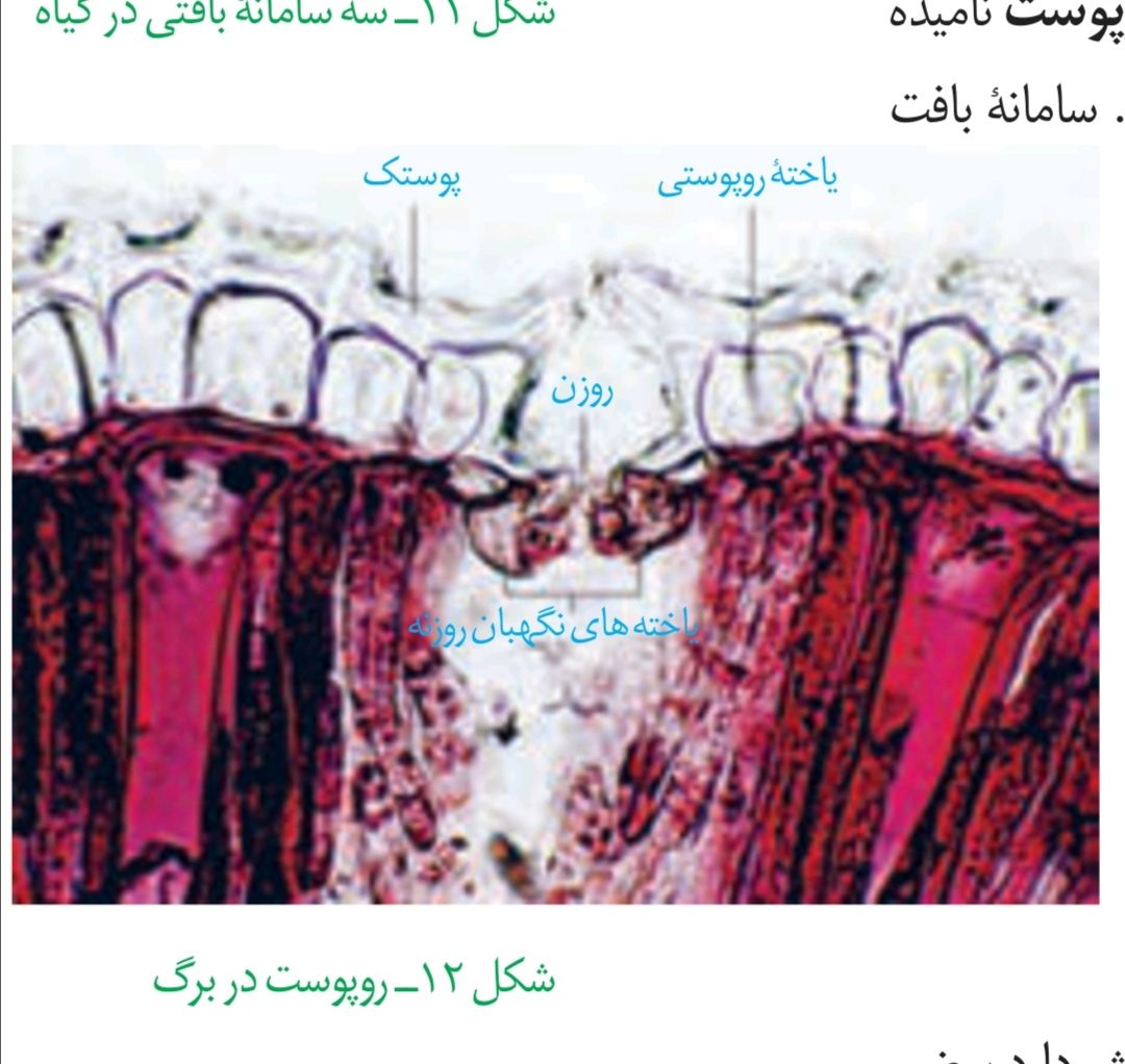 Screenshot_۲۰۲۱۰۴۳۰_۲۰۰۸۴۵.jpg
