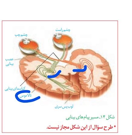Annotation 2021-05-01 111843.jpg