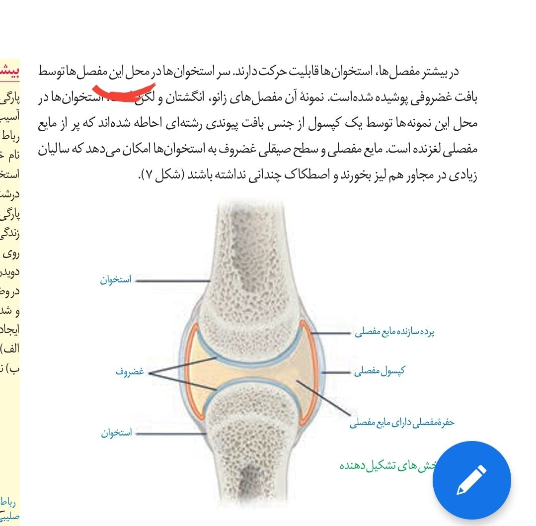 Screenshot_۲۰۲۱۰۵۰۸-۱۷۵۹۲۷_Adobe Acrobat.jpg