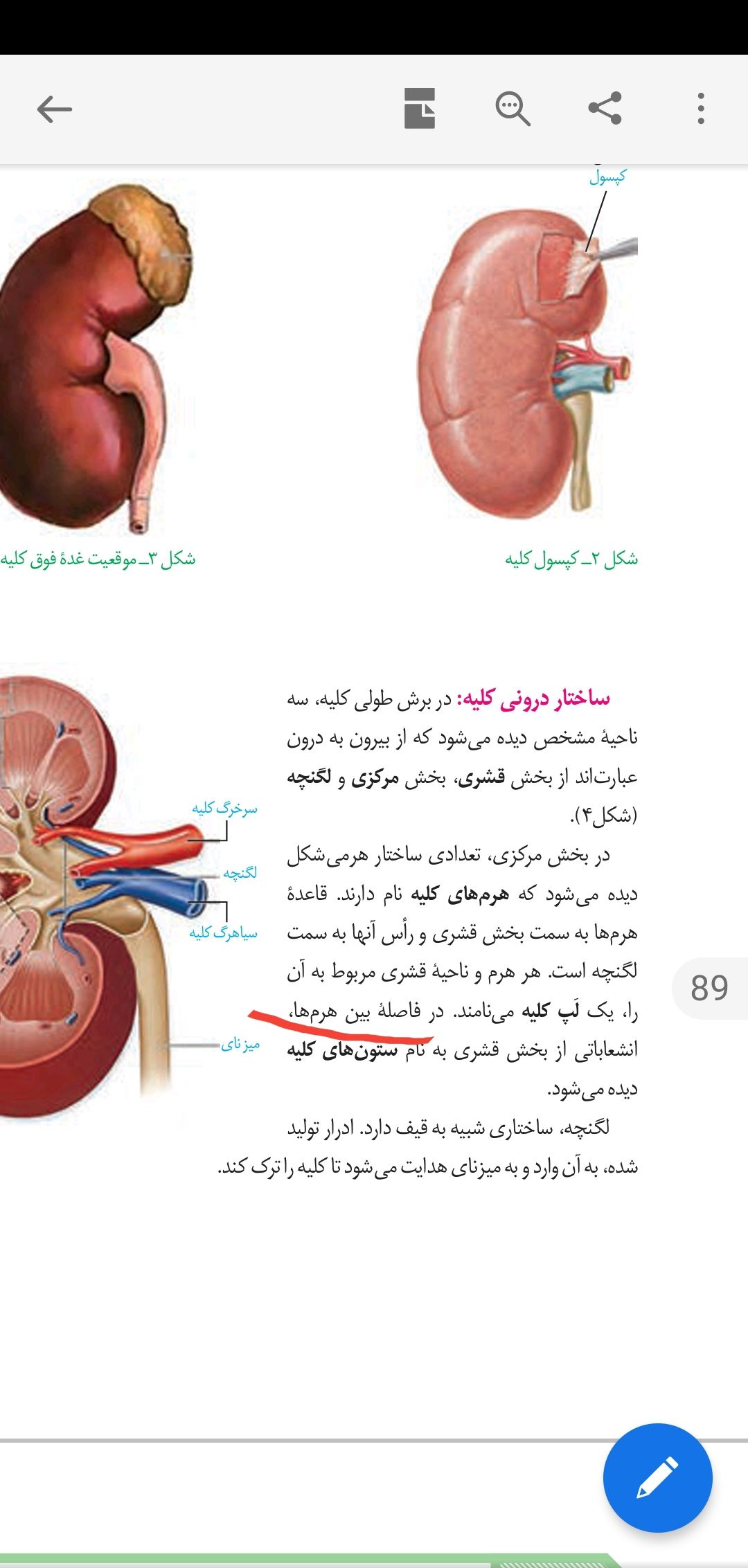 Screenshot_۲۰۲۱۰۵۰۹-۱۵۰۶۳۲_Adobe Acrobat.jpg