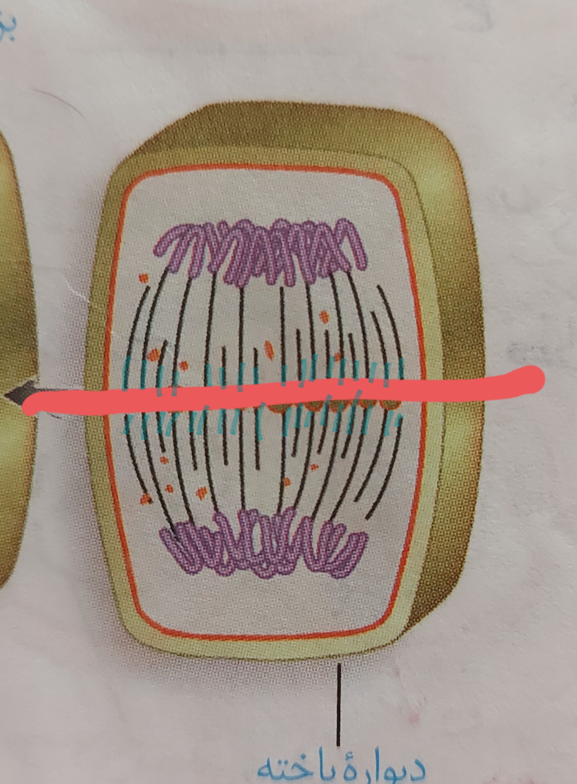۲۰۲۱۰۵۱۰_۰۹۳۷۲۸.jpg