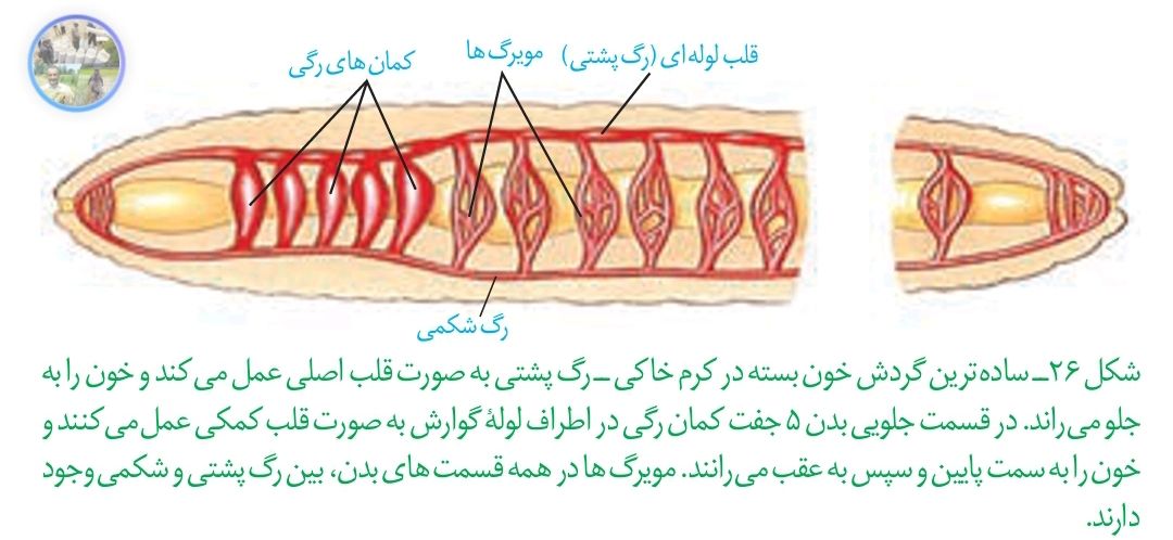 Screenshot_۲۰۲۱۰۵۱۴-۰۹۰۹۱۰_Adobe Acrobat.jpg