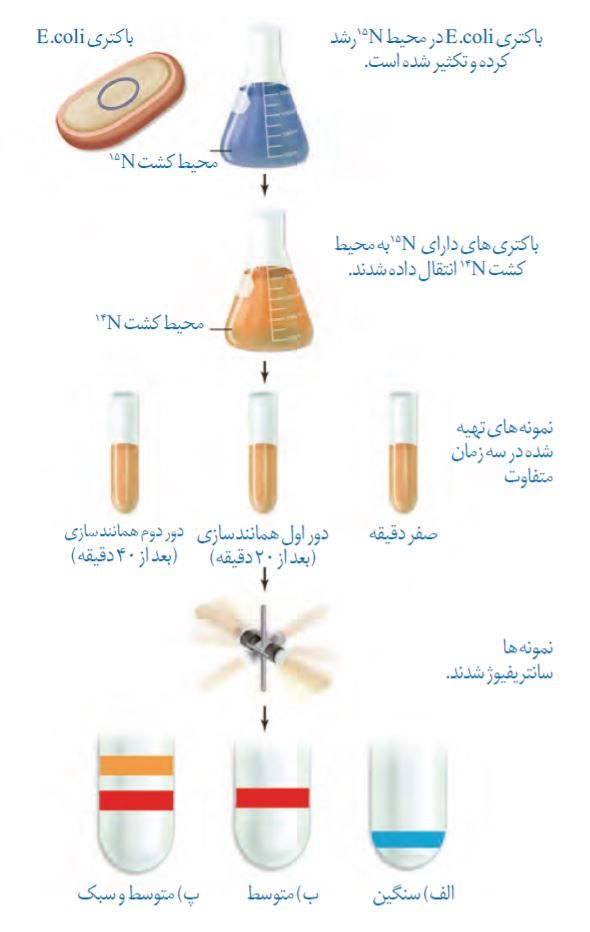 آزمایش-مزلسون-و-استال.jpg