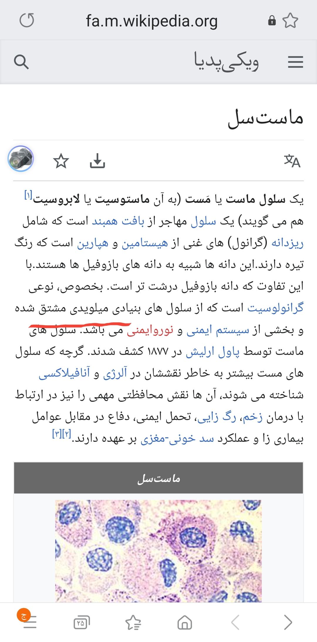 Screenshot_۲۰۲۱۰۵۳۰-۱۹۰۰۴۲_Samsung Internet.jpg