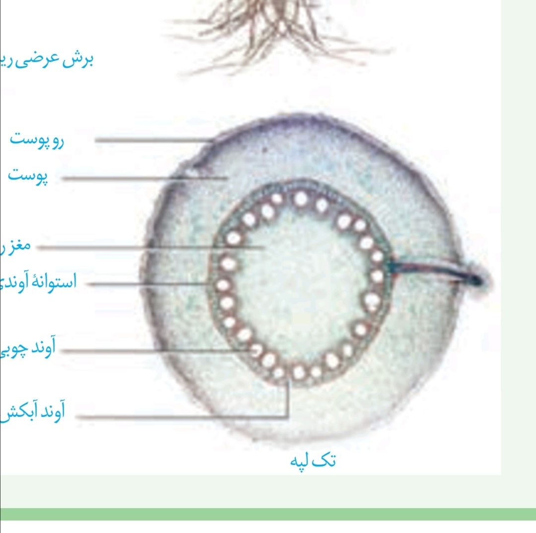 Screenshot_۲۰۲۱۰۶۰۲_۲۳۴۸۲۱.jpg