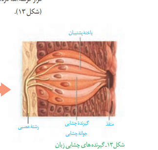 2021-06-03 22_18_47-Biology 11.indd.png