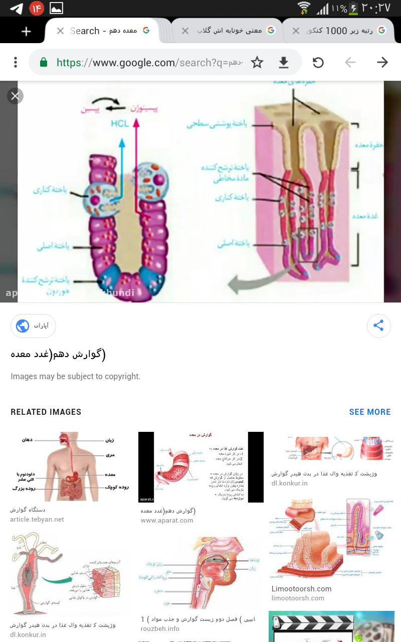 Screenshot_۲۰۲۱-۰۶-۰۴-۲۰-۲۷-۵۵.png
