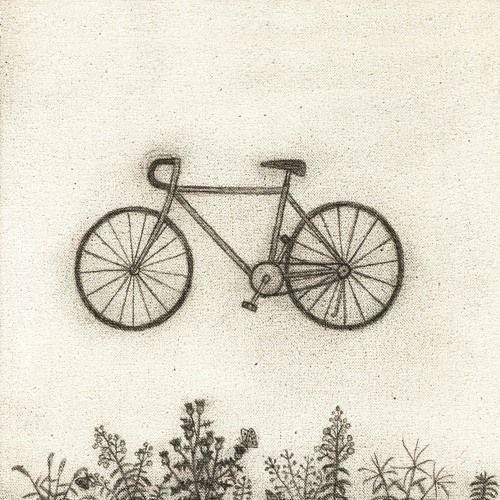 RM-BTS-Bicycle.jpg